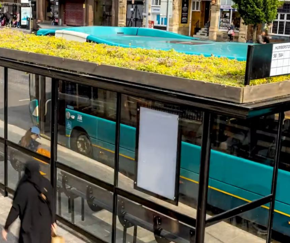 A bus stop with a living roof of plants.