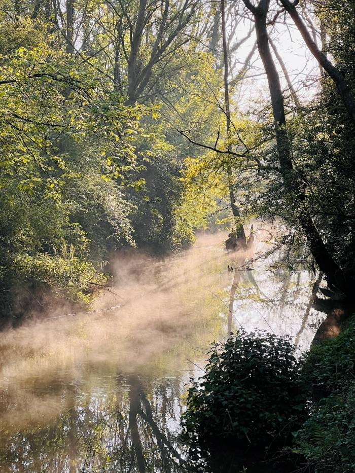 Stream and mist at Haysden Country Park