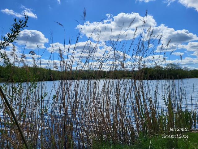 Haysden photo competition - April