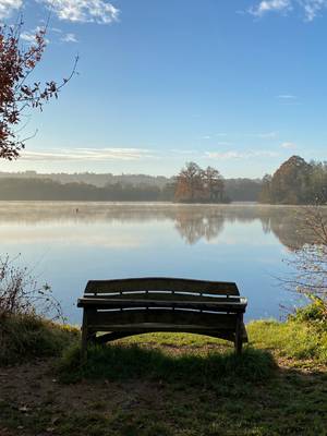 A park bench overlooking a lake