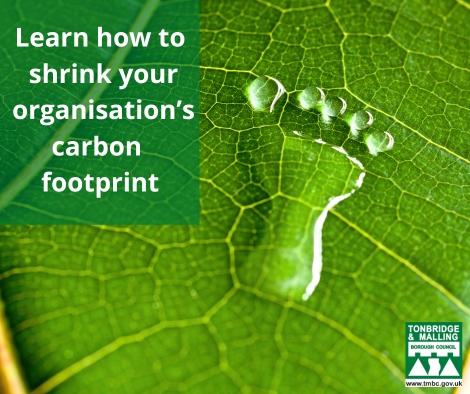 A footprint on a leaf