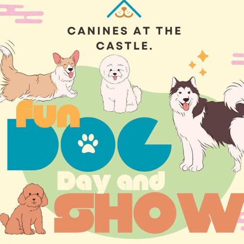 Fun dog show at the castle poster