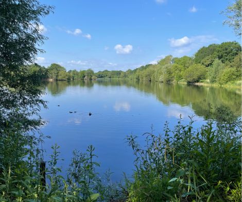 A view of the lake at Haysden Country Park