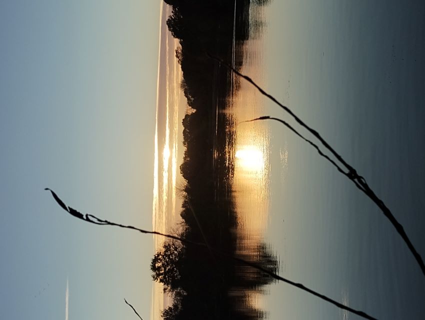 Sunrise over Haysden park