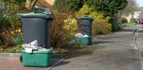Missed bin hompage