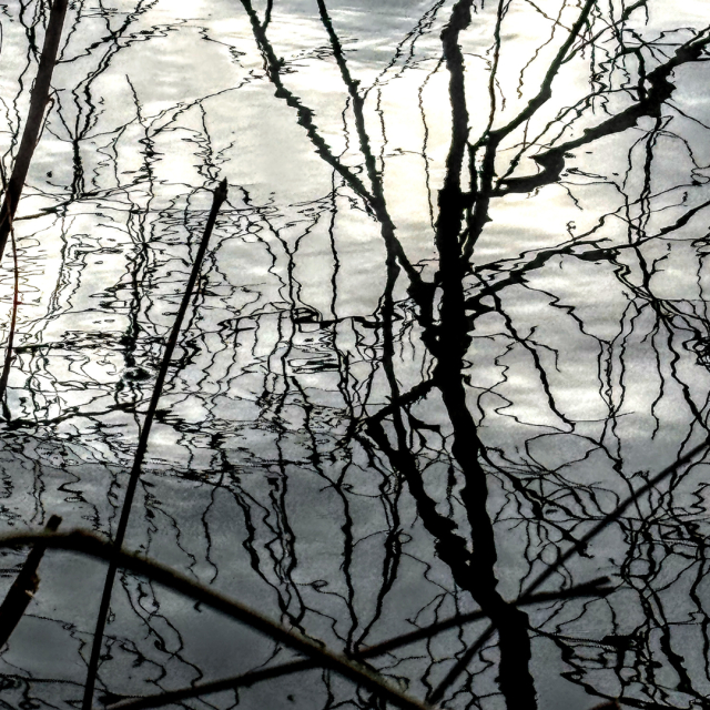 Reflections on water at Haysden