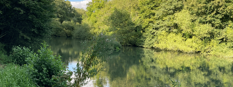 The lake at Basted Mill