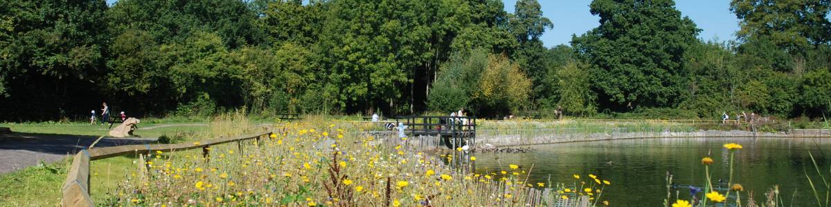 A view of a lake in Haysden Country Park