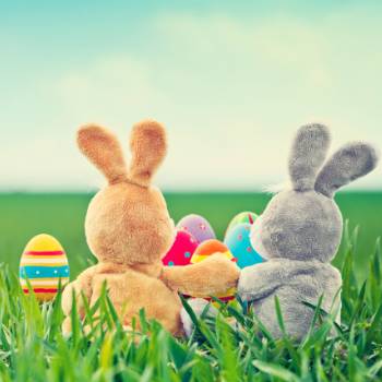 Two toy bunnies in a field with easter eggs around them