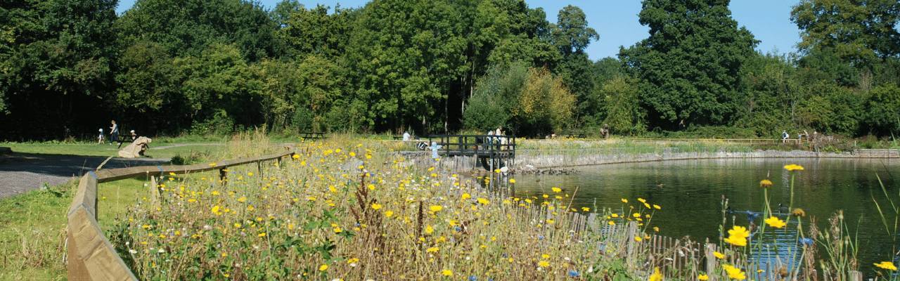 A panoramic view of the lake the park 