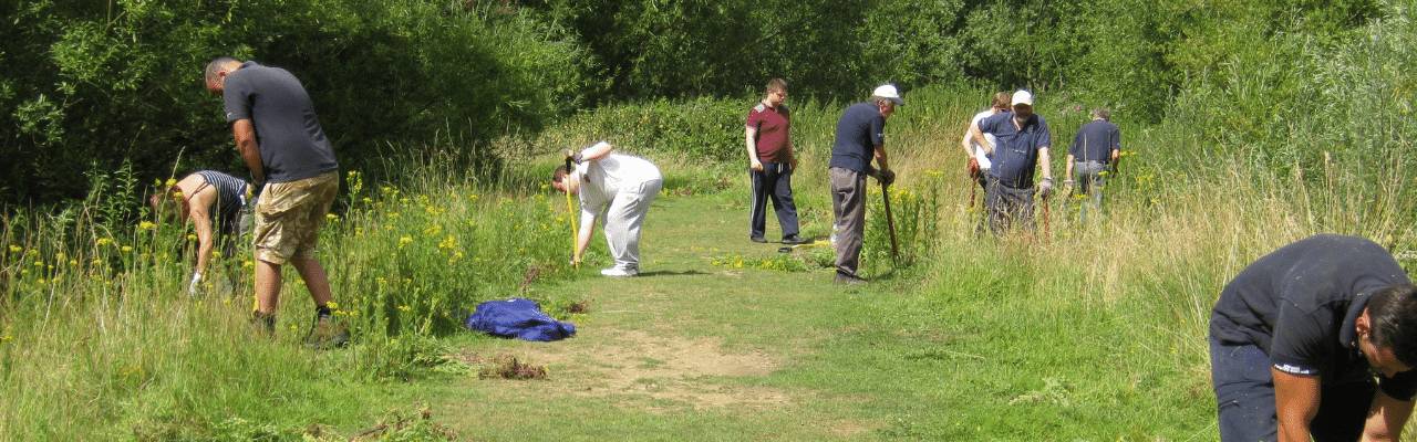 A group of people volunteering at the park