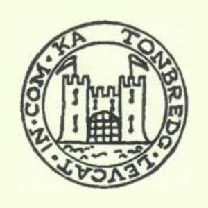 Tonbridge historical society logo, a round logo with Tonbridge Castle in the middle