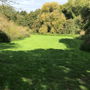 View of the meadow at Wood Meadow